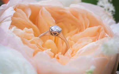 Wedding Blog & Planning Tips How A Wedding Collective Can Simplify Your Wedding Planning