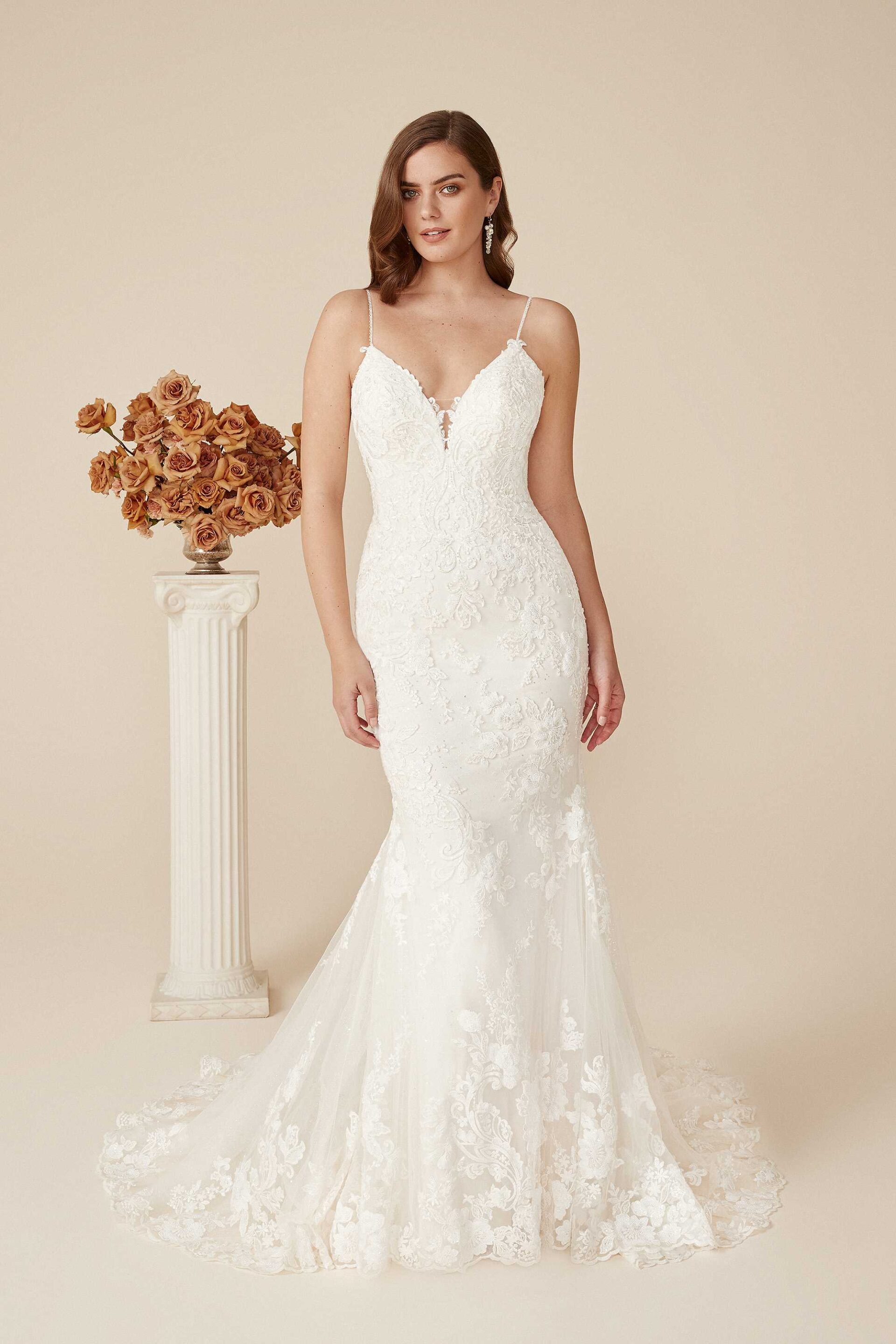 Low Back Beaded Lace Fitted Bridal Gown Deryn Justin Alexander Wedding Dresses in Maryland